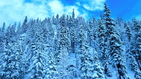 Aerial flight over a snow covered mountain forest under blue sky Stock-Footage 341328839