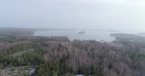 Aerial flight over spring forest and baltic sea. Stock Footage 147936141