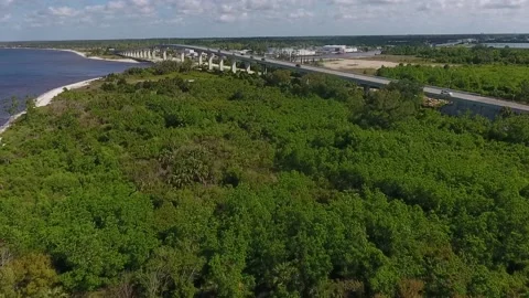 Aerial flight over thick bay side forest next to highway and bridge Stock Footage 153114803