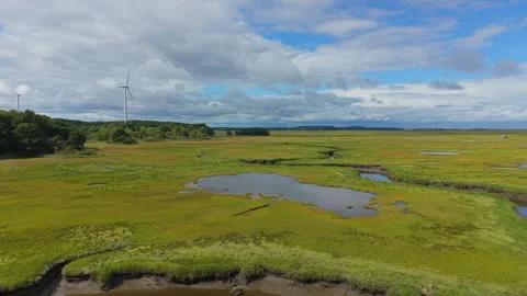 Aerial Flight Over Tidal Creeks and Salt Marsh in Ipswich, Massachusetts Stock Footage 345699496