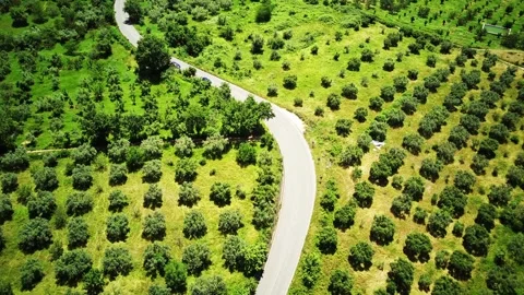 Aerial flight over typical rural landscape and road. Italy Video stock 249689959