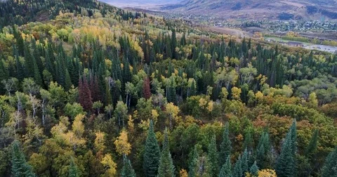 Aerial Flight Over Vibrant Fall Colors In Colorado 4K 動画素材 82764632