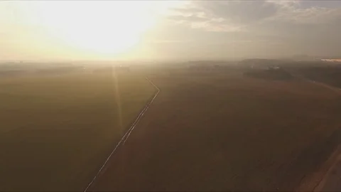 AERIAL: Flight over the wheat field in sunset Video stock 73200404