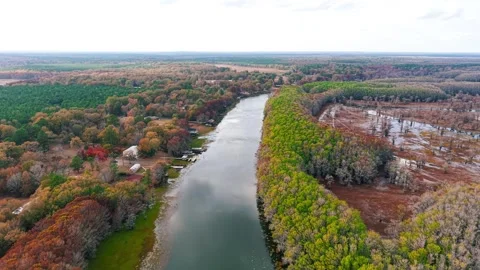 Aerial flight over a winding river and autumn forest landscape in Caddo lak.. 動画素材 340527812