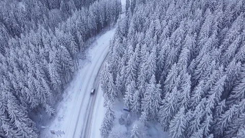 Aerial flight over winter forest with road Stock Footage 101630084