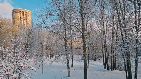 Aerial flight over winter forest and suburbs 26 Stock Footage 121328434