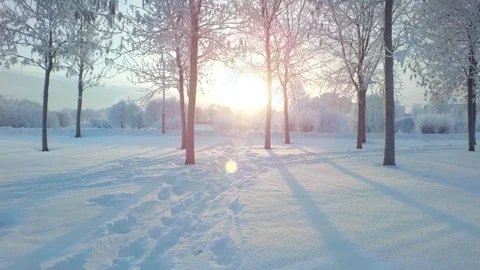 Aerial flight over winter forest and suburbs 1 Stock Footage 121328682