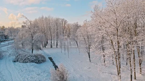 Aerial flight over winter forest and suburbs 25 Stock Footage 121328850
