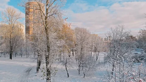 Aerial flight over winter forest and suburbs 13 Stock Footage 121328986