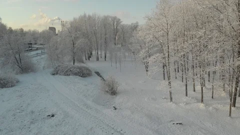 Aerial flight over winter forest and suburbs 24 Stock Footage 121329171