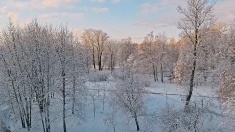 Aerial flight over winter forest and suburbs 20 Stock Footage 121329220