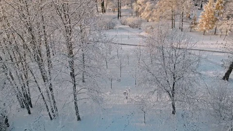 Aerial flight over winter forest and suburbs 15 Stock Footage 121329285