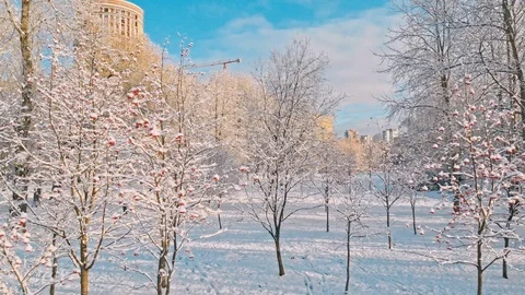 Aerial flight over winter forest and suburbs 11 Stock Footage 121329335