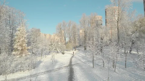 Aerial flight over winter forest and suburbs 10 Stock Footage 121329481