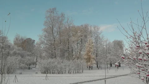 Aerial flight over winter forest and suburbs 14 Stock Footage 121329552