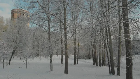 Aerial flight over winter forest and suburbs 16 Stock Footage 121329796