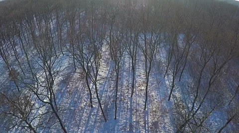 AERIAL, Flight over winter snow covered forest in the mountain range Vídeos de archivo 59866607
