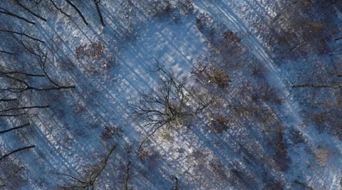 AERIAL, Flight over winter snow covered forest in the mountain range Stockbeeldmateriaal 59866655
