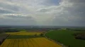 Aerial flight over yellow blooming rape canola fields with rain clouds 4k or 4k+ Resolution