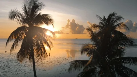 Aerial flight straight from behind between palm trees above water in sea  aga Stock Footage 102226960