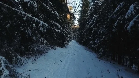 Aerial Flight Through Dark Winter Forest Stock Footage 76745470