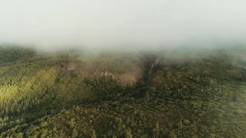 Aerial flight through low cloud over forested ravine in Alaska Stock-Footage 348019506