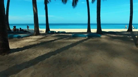 Aerial: Flight through the palms to the beach. Stock Footage 69927862