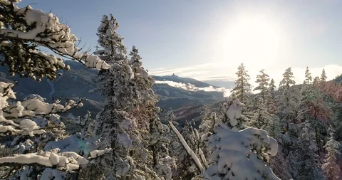 Aerial Flight Through Snow Covered Trees With Views Of A Ski Resort At Sunset Video stock 100477399