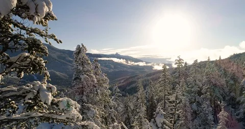 Aerial Flight Through Snow Covered Trees At Sunset With Mountain Views Stock Footage 100477902
