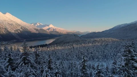 Aerial flight through snowy winter trees with a view of the mountains Stock Footage 100414828