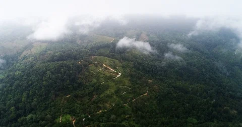 AERIAL. Flight throught clouds and top view to the country road and rain forest. Stock Footage 88069942
