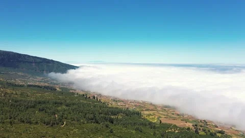 Aerial flight towards cloud layer over pine forest in Tenerife 스톡 동영상 330271941