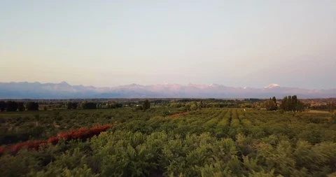 Aerial flight towards reddish Mountain Range of Cordillera de los Andes Stock-Footage 129251922