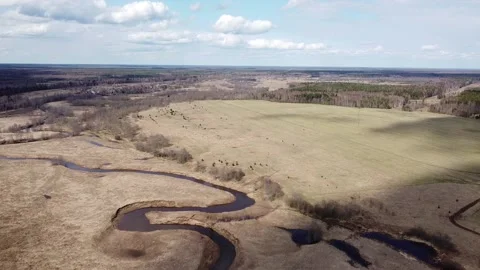 The aerial flight vertical over spring fields and river in the middle Stock Footage 238008510