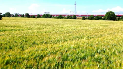 Aerial Flight view Freccia Rossa 1000 Fast TAIN above wheat field 4K Tuscany Stock Footage 242851926