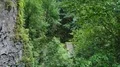 Aerial flight at wall in tight mountain forest canyon abyss thicket 4k 4k or 4k+ Resolution