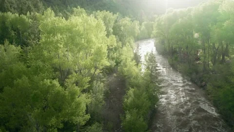 Aerial: Floating down a river with spring melt in a forest. Colorado, USA. Stock Footage 130291599