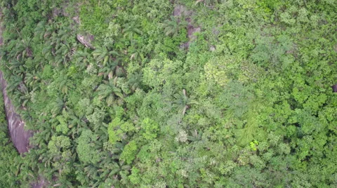 Aerial floating over forest Rio de Janeiro 스톡 동영상 63290514