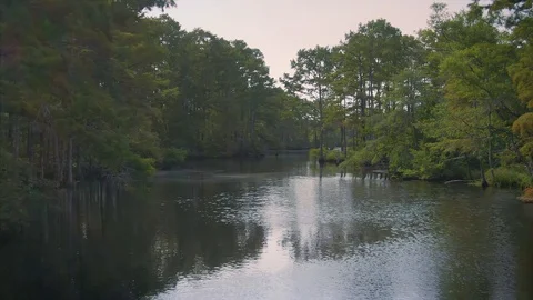 Aerial: floating up a river with  trees, North Carolina, USA. Vidéo 121491846