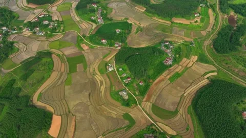 Aerial Flooded Rice Fields Lang Son Vietnam Stock Footage 346712145