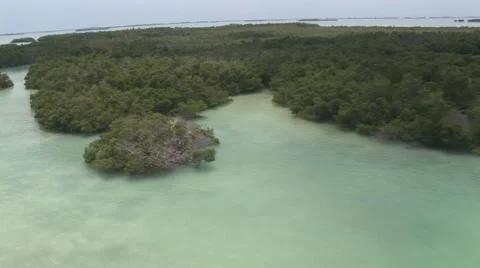 Aerial Florida Mangroves Stock Footage 5330043