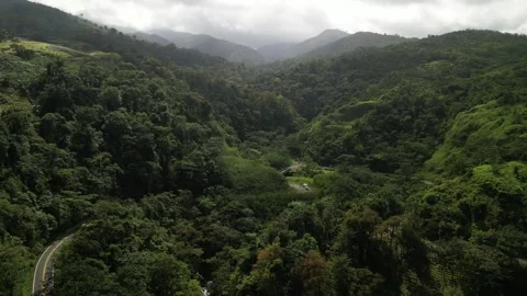 Aerial fly forward push in above twisting road in Costa Rican Rain Forest Stock Footage 329596902