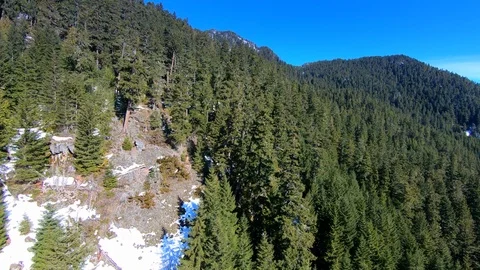Aerial Fly By Mountain Rainforest in Winter, Wood Land Scenery Foliage Flight Stock Footage 120088500