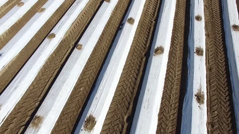 Aerial fly over a asparagus fields covered with white plastic foil Stock Footage 74200811