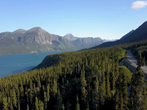 Aerial Fly Over Beautiful Trees and Mountains Landscape in Yukon Canada Stock Footage 79733140