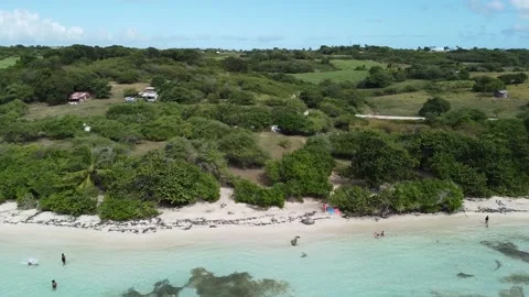 Aerial Fly Over | Caribbean Beach in Guadeloupe | Plage de Bois Jolan  Stock Footage 142242575
