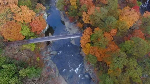 Aerial Fly Over Fall Colors River Stock Footage 73013630