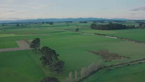 Aerial fly over flat green farm and fields Stock Footage 155442563