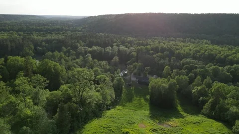 Aerial fly over the forest #1 Video stock 243311833