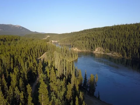 Aerial fly over forest trees and river at Miles Canyon Whitehorse Yukon Stock Footage 79761475